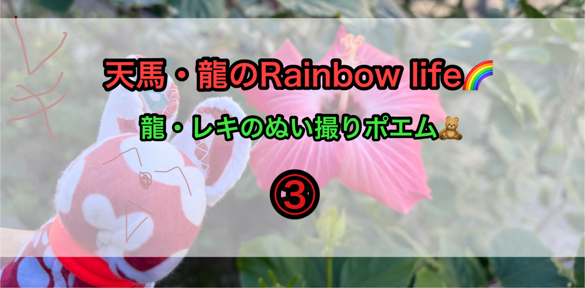 ぬい活 ぬい撮り