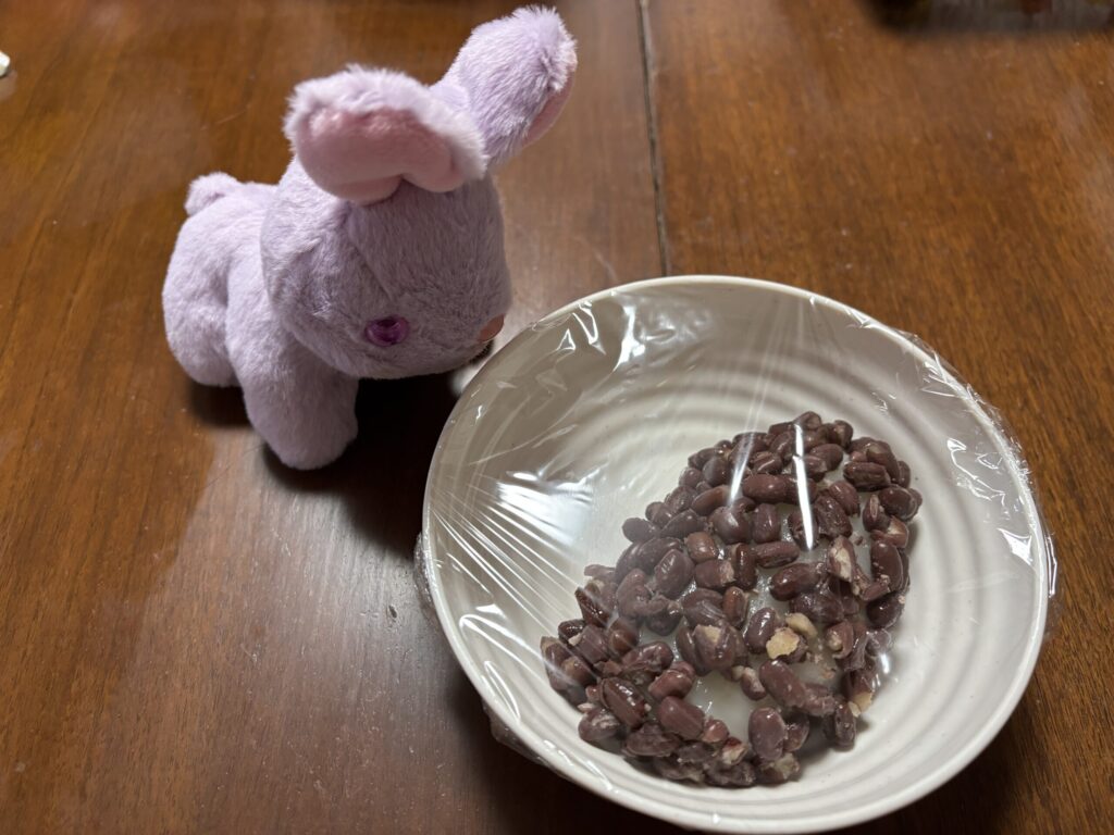 カノアちゃんとフチャギ