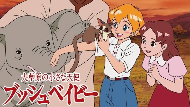 ブッシュベイビー